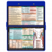 WhiteCoat Clipboard® - Blue Occupational Therapy Edition